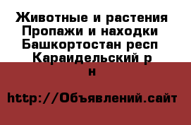 Животные и растения Пропажи и находки. Башкортостан респ.,Караидельский р-н